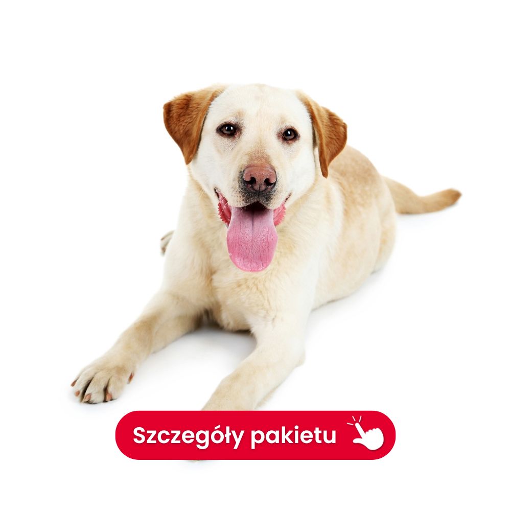 profil geriatryczny