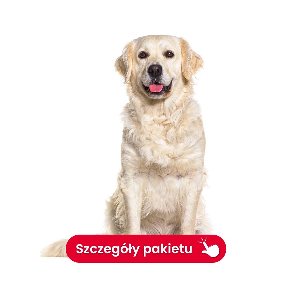 Profil III tarczycowy