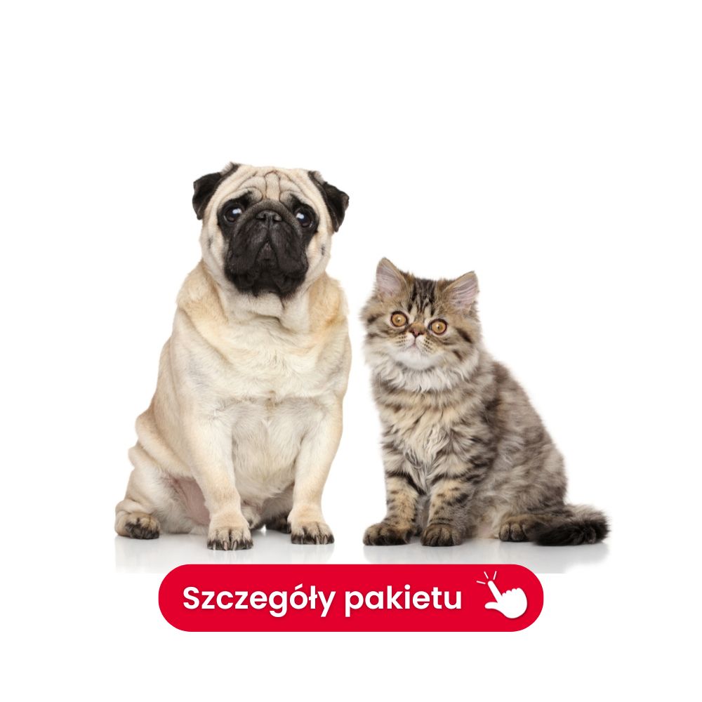 profil tarczycowy duży