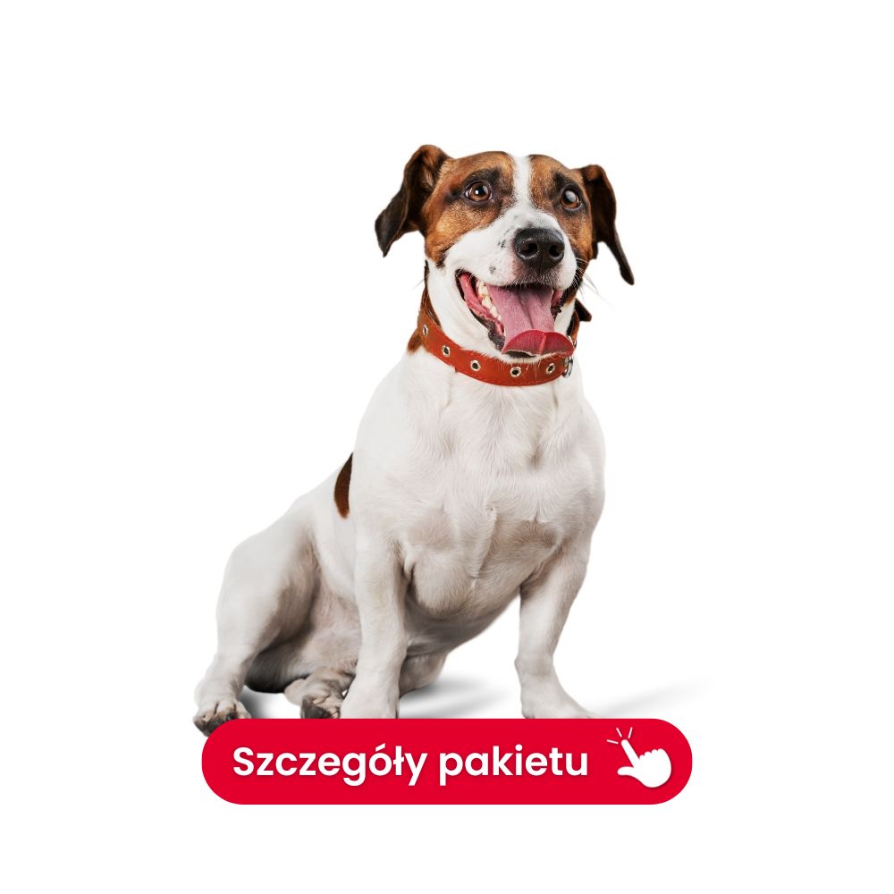 profil trzustkowy