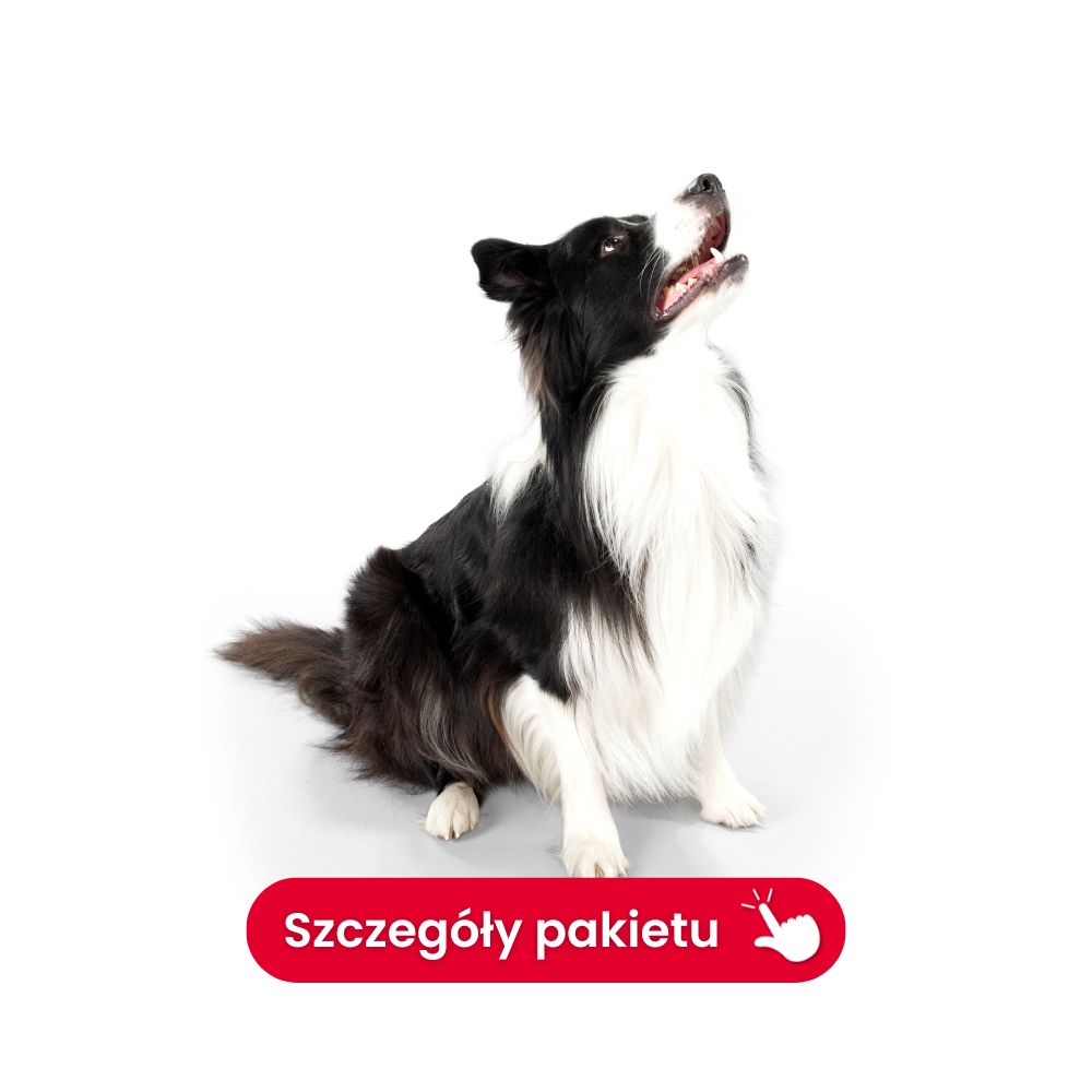 profil trzustkowo jelitowy pies