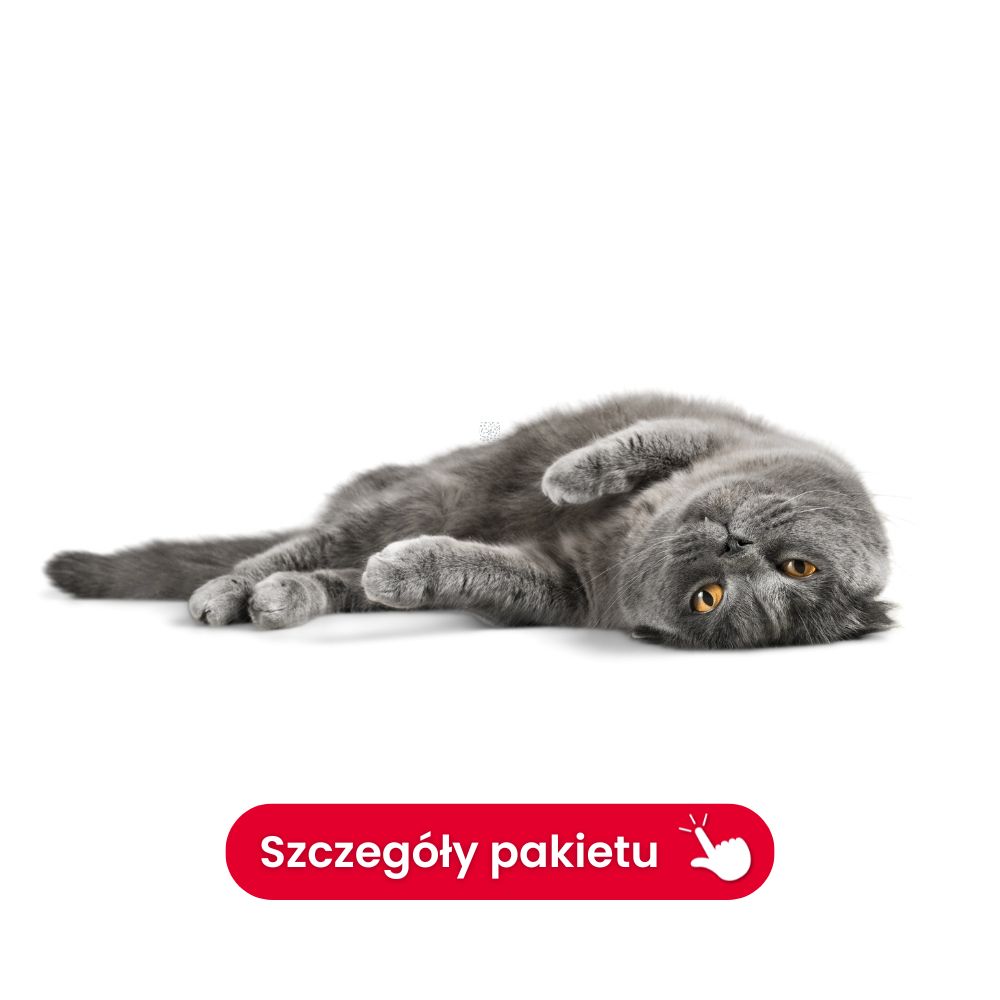 Profil kostny /5 badań/ + morfologia (pies/kot)