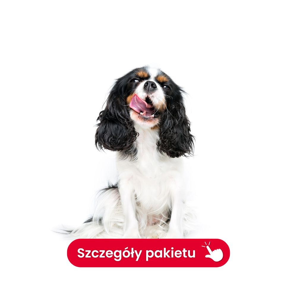 profil elektrolitowy