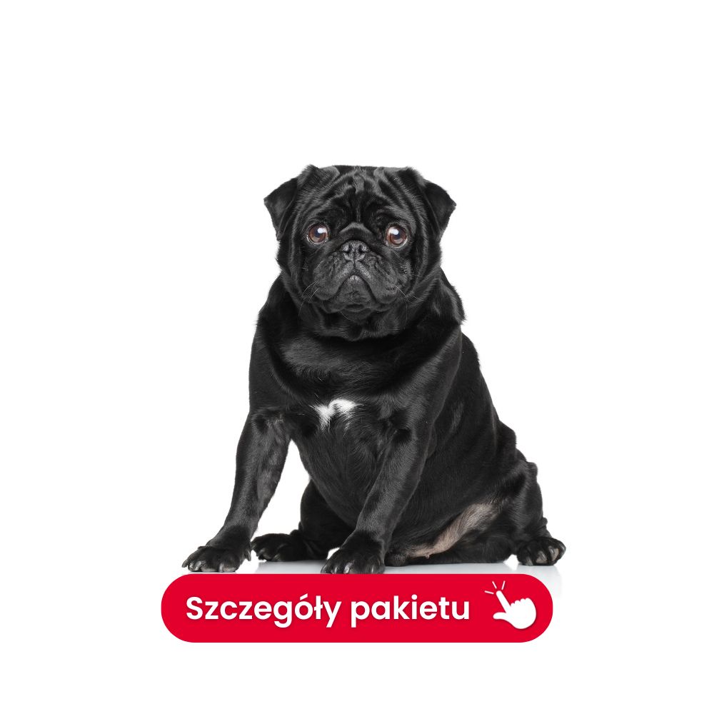 profil trzustkowy