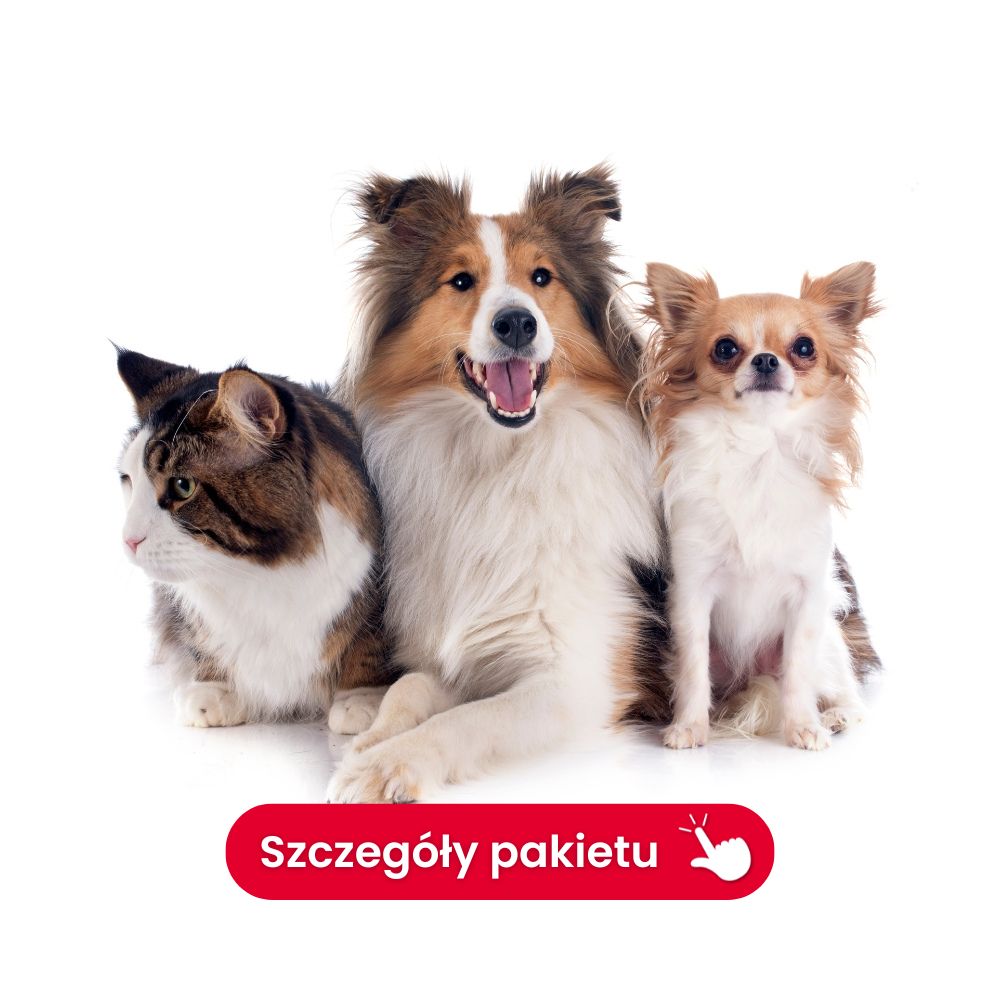 Profil wątrobowy /6 badań/ (pies/kot)