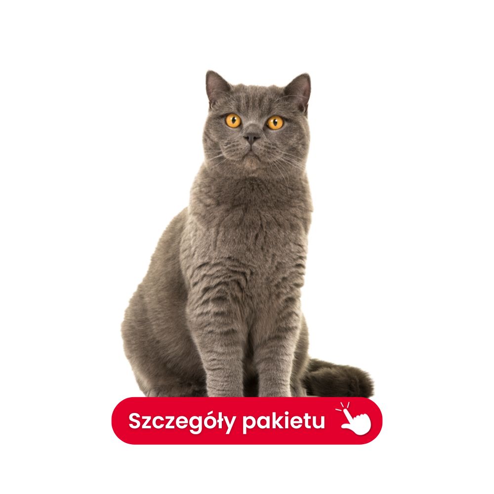 profil nerkowy