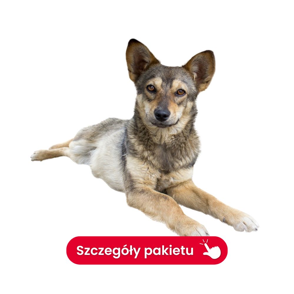 profil diagnostyczny rozszerzony