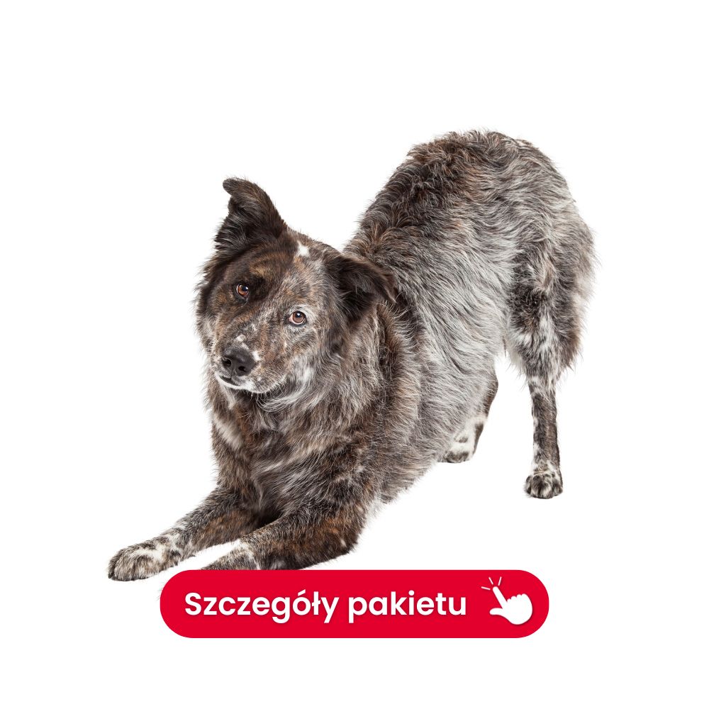 profil I tarczycowy