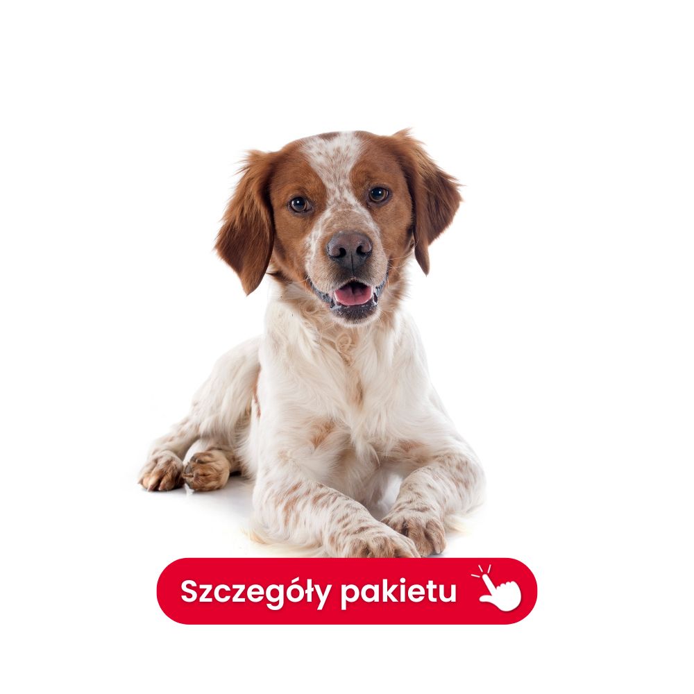 profil podstawowy