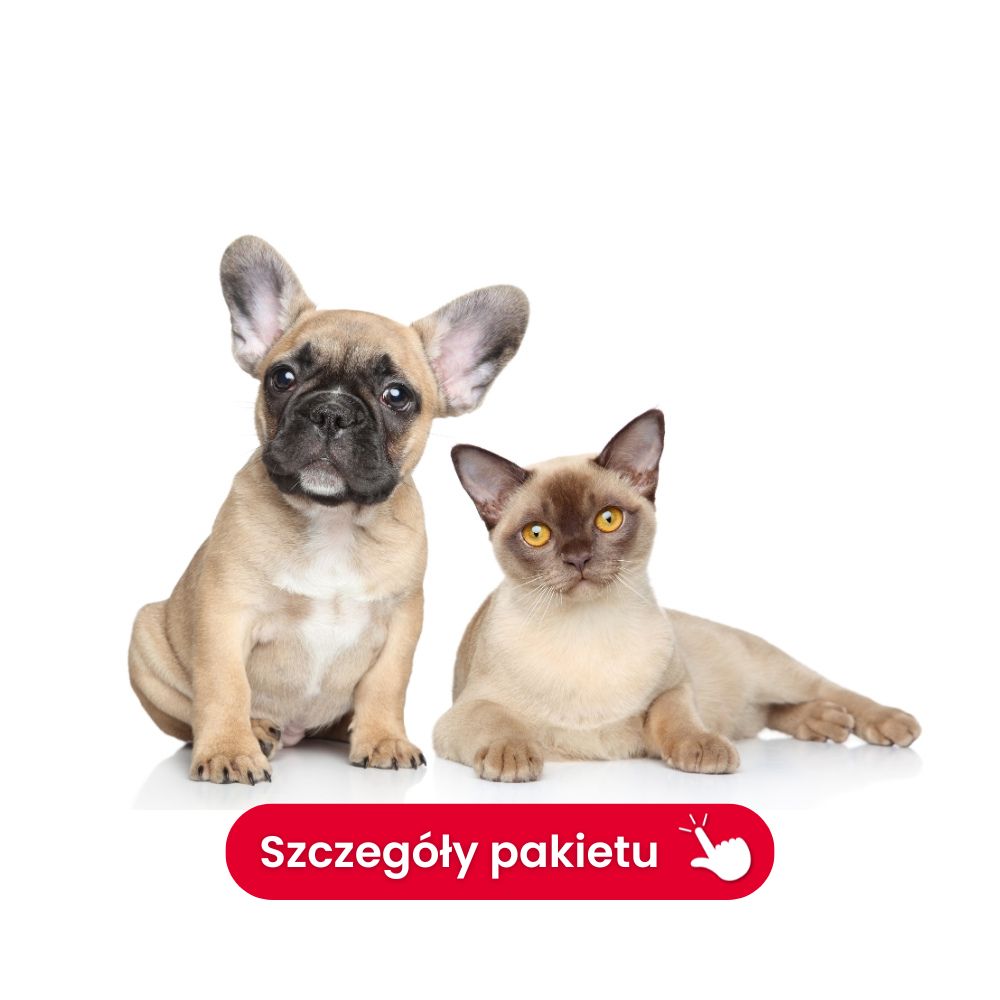 profil diagnostyczny