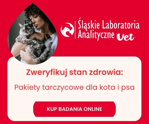 Pakiety tarczycowe dla kota i psa